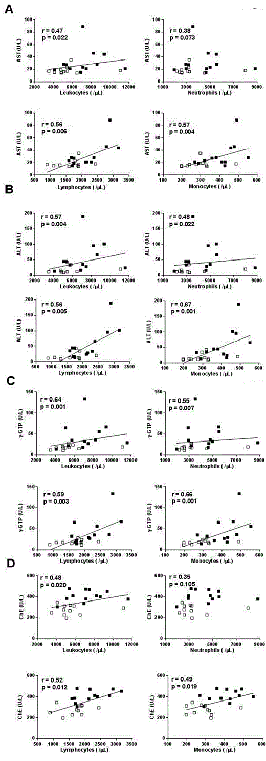 Fig. 1. Correlation of peripheral total leukocyte, neutrophil, lymphocyte and monocyte counts with serum levels of A aspartate aminotransferase (AST), B alanine aminotransferase (ALT), C γ-glutamyl transpeptidase (γ-GTP), and D choline esterase (ChE). Open squares represent control subjects. Closed squares represent obese subjects