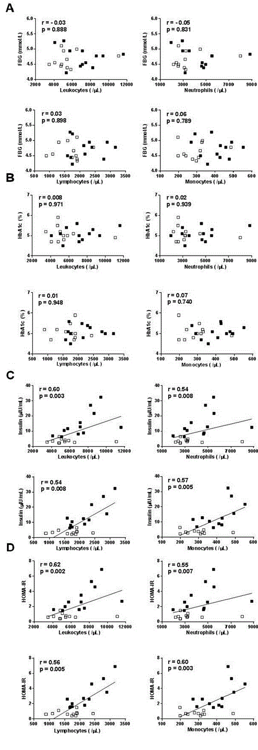 Fig. 2. Correlation of peripheral total leukocyte, neutrophil, lymphocyte and monocyte counts with A fasting blood glucose (FBG), B hemoglobin A1c (HbA1c), C insulin, and D homeostasis model assessment of insulin resistance (HOMA-IR). Open squares represent control subjects. Closed squares represent obese subjects.