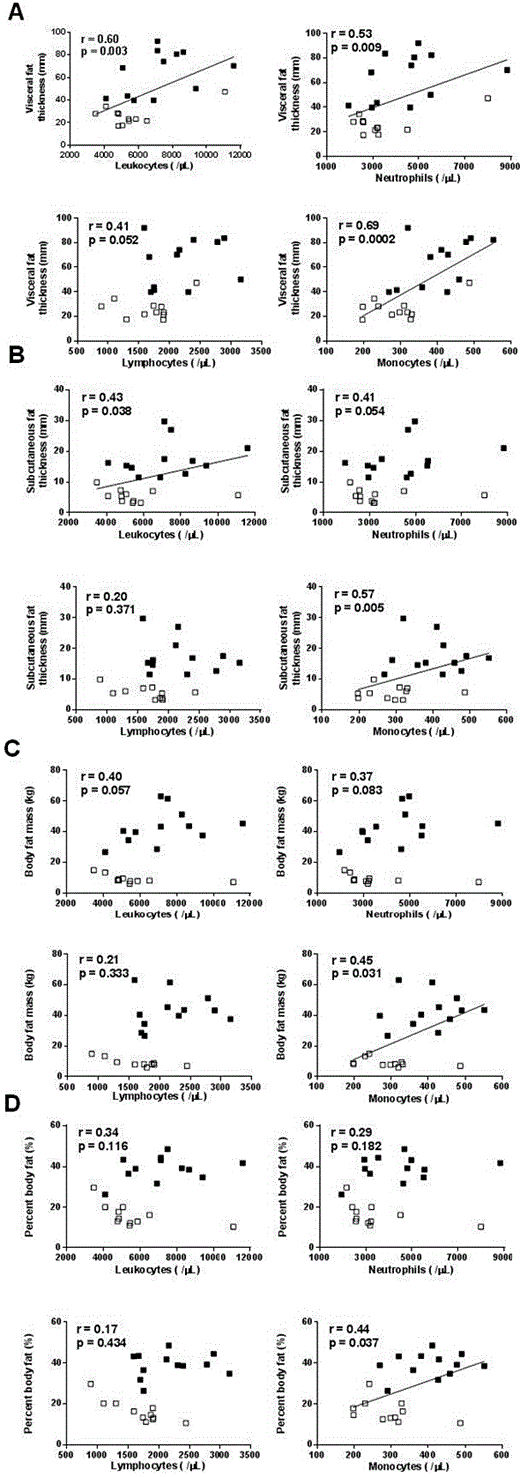 Fig. 4. Correlation of peripheral total leukocyte, neutrophil, lymphocyte and monocyte counts with A visceral fat thickness measured by ultrasonography, B subcutaneous fat thickness measured by ultrasonography, C body fat mass calculated by a bioimpedance analysis device, and D percentage body fat calculated by a bioimpedance analysis device. Open squares represent control subjects. Closed squares represent obese subjects.