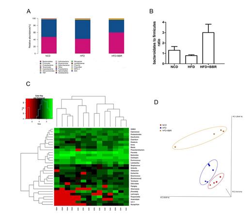 Fig. 4. BBR regulates the intestinal composition of HFD-fed rats. A The bar charts represent average relative abundances of bacterial phylum. B B/F ratio. C The heat map reflects the bacterial abundances at the genus level. D PCoA were performed based on unweighted UniFrac metrics. Values are expressed as mean ± SEM. Difference were assessed by ANOVA and denoted as *p < 0.05.