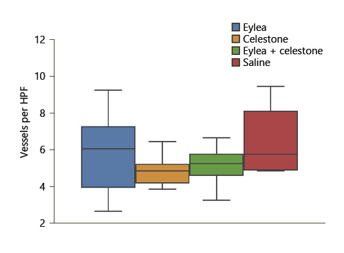 Fig. 5. Box plot showing amount of blood vessels counted from the limbus in 5 HPF X40 or 5 HPF in the area of the cornea were blood vessels were at highest density. The presence and density of the blood vessels in the corneal tissue were examined on representative mid-sagittal sections stained with hematoxylin and eosin.