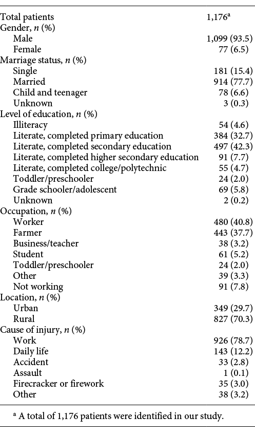 Demographics of patients hospitalized for IOFBs