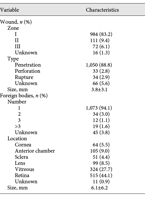 Characteristics of wound and foreign bodies