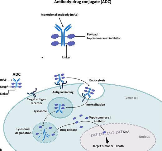 Current Role of Topoisomerase I Inhibitors for the Treatment of ...