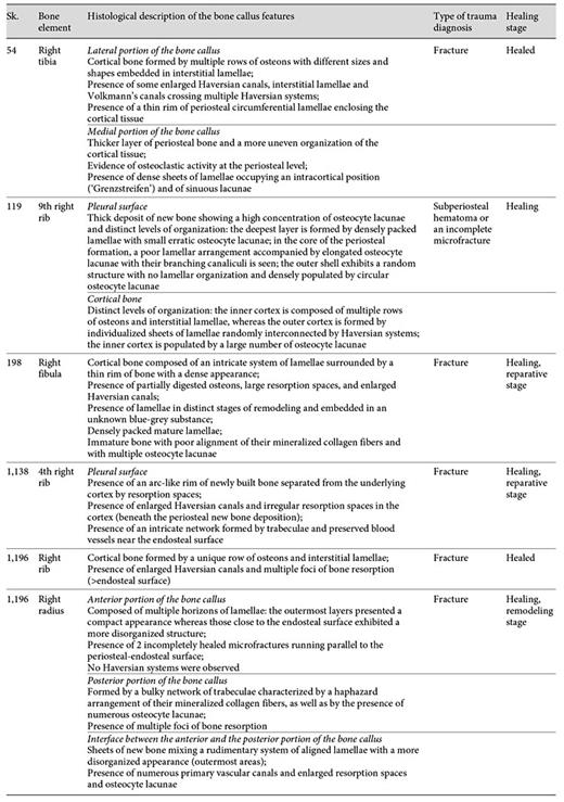 Evaluation of the histological features of the bone callus by individual, sample, healing stage, and type of trauma diagnosis