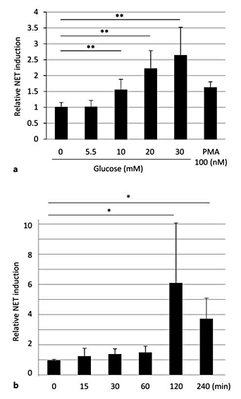 Fig. 3. NET induction by glucose. Experiments were repeated at least 3 times, and data were presented as means ± SD. a Glucose dose dependency: neutrophils from healthy volunteers were exposed to various concentrations of glucose for 2 h at 37°C and then NET formation was quantified. The value when the neutrophils were incubated in PBS (0 mM glucose) was set as 1. PMA (100 nM in PBS) was employed as a positive control. ** p < 0.01. b Time dependency: neutrophils from healthy volunteers were exposed to 20 mM glucose for various durations at 37°C, and then NET formation was quantified. The value before the neutrophils were incubated with glucose (0 min) was set as 1. * p < 0.05.