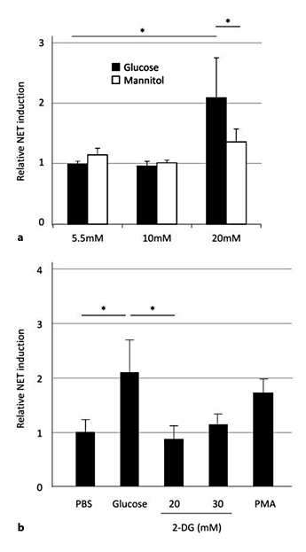 Fig. 4. Requirement of intracellular glycometabolism on NET induction by high-dose glucose. Experiments were repeated at least 3 times, and data were presented as means ± SD. a Neutrophils from healthy volunteers were exposed to various concentrations of glucose or mannitol for 2 h at 37°C, and then NET formation was quantified. The value when the neutrophils were incubated with 5.5 mM glucose was set as 1. * p < 0.05. b Neutrophils from healthy volunteers were exposed to 20 mM glucose or various concentrations of 2-DG for 2 h at 37°C, and then NET formation was quantified. The value when the neutrophils were incubated in PBS (glucose, 0 mM) was set as 1. PMA (100 nM in PBS) was employed as a positive control. * p < 0.05.
