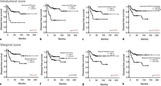 a–h Comparison of DFS between FNCLCC Grade 1/2/3 cases with high and low CAF scores and high and low CD163-positive macrophage counts in the intratumoral and marginal areas (plots were constructed using the Kaplan-Meier method). DFS, disease-free survival; FNCLCC, Fédération Nationale des Centres de Lutte Contre le Cancer.