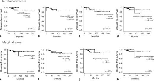 a–h Comparison of DFS in FNCLCC Grade 1 cases with high and low CAF scores and high and low numbers of CD163-positive macrophages in the intratumoral and marginal areas (plots were constructed using the Kaplan-Meier method). DFS, disease-free survival; FNCLCC, Fédération Nationale des Centres de Lutte Contre le Cancer.