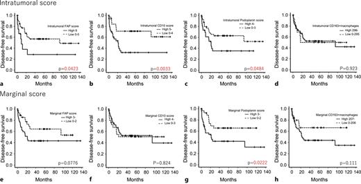 a–h Comparison of DFS between in FNCLCC Grade 2/3 cases with high and low CAF scores and high and low CD163-positive macrophage counts in the intratumoral and marginal areas (plots were constructed using the Kaplan-Meier method). DFS, disease-free survival; FNCLCC, Fédération Nationale des Centres de Lutte Contre le Cancer.