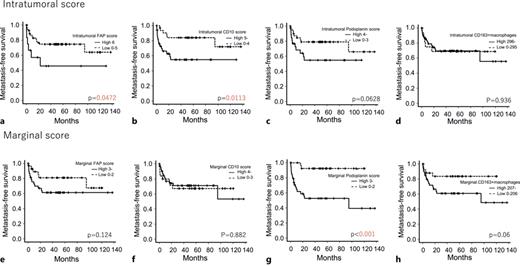 a–h Comparison of MFS of FNCLCC Grade 2/3 cases with high and low CAF scores and high and low CD163-positive macrophage counts in the intratumoral and marginal areas (plots were constructed using the Kaplan-Meier method). MFS, metastasis-free survival; FNCLCC, Fédération Nationale des Centres de Lutte Contre le Cancer.
