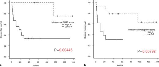 Comparison of DFS between undifferentiated pleomorphic sarcoma cases with high and low CAF scores (plots were constructed using the Kaplan-Meier method). Intratumoral CD10 score (a) and intratumoral podoplanin score (b). DFS, disease-free survival.