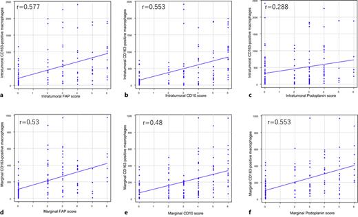 a–f Correlation between each CAF score and the CD163-positive macrophage count in the intratumoral and marginal areas. CAF, cancer-associated fibroblast.