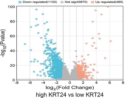 Differential gene expression analysis on cases harbouring high KRT24 expression against cases harbouring low KRT24 expression. Volcano plot obtained from DGE analysis comparing high KRT24 expression against cases harbouring low KRT24 expression.