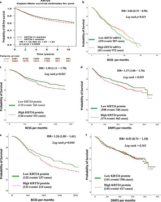 Survival curves representing patients’ outcomes in terms of BCSS and DMFS at the transcriptomic and proteomic levels. a Cumulative BCSS of patients stratified by KRT24 mRNA expression in the KM plotter cohort. b DMFS in the bc-GenExMiner v5.1. c–f represent association between KRT24 protein expression and outcomes using the Nottingham BC TMA cohort. c BCSS of patients stratified by cytoplasmic KRT24 protein expression. d DMFS of cytoplasmic KRT24 protein expression. e BCSS of membranous KRT24 protein expression. f DMFS of membranous KRT24 protein expression.