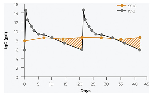  Serum IgG level after IVIG and SCIG administration. Serum IgG depicted as a result of the treatment of a PID patient with 30 g IVIG (every 3 weeks) or 36 g SCIG, distributed to three doses, once weekly. The red hatched area represents serum levels with potential wear-off effects.