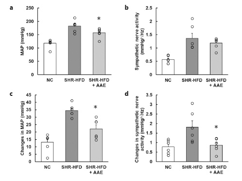  Effects of AAE on MAP and sympathetic nerve activity in HFD-fed SHRs on day 56. AAE at a dose of 800 mg/kg body weight was orally administered to rats once daily from day 0 to day 56. On day 56, MAP and SBP were recorded under freely moving, awake conditions. Then, rats were placed on a reciprocal shaker, and MAP and SBP were recorded under shaker stress conditions. A power spectral density of the low-frequency band (0.25–0.75 Hz) of SBP fluctuation was calculated as an index of sympathetic nerve activity. The changes in MAP and sympathetic nerve activity were calculated by subtracting the value obtained under shaker stress from the value obtained under free-moving, awake conditions. MAP under freely moving, awake conditions (a), sympathetic nerve activity under freely moving, awake conditions (b), MAP under shaker stress conditions (c), and sympathetic nerve activity under shaker stress conditions (d). Columns and bars show the mean + SEM of data from 6 animals. Each data point represents a measurement of 1 animal. *p< 0.05 versus the SHR-HFD group. NC, normotensive control; SHR, spontaneously hypertensive rat; HFD, high-fat diet; AAE, Angelica acutilobaextract; MAP, mean arterial pressure; SBP, systolic blood pressure.