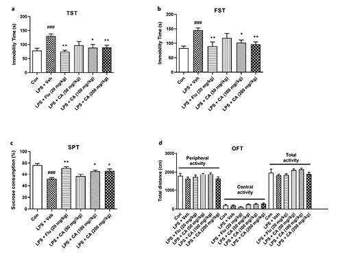  CA pretreatment alleviated the behavioral changes in mice treated with LPS. a, b Increase in immobility time in the TST (a) and FST (b) induced by LPS was significantly alleviated by CA pretreatment. c CA administration significantly improved the decrease of sucrose consumption in the SPT induced by LPS. d Pretreatment with CA did not affect the spontaneous locomotor activity of mice in OFT. Data were expressed as mean ± SEM (n= 11–16). ###p< 0.001 versus Con; *p< 0.05, **p< 0.005 versus LPS + Veh. SPT, sucrose preference test.