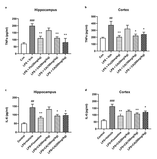  Pretreatment with CA ameliorated the upregulation of pro-inflammatory factors induced by LPS in the hippocampus and cortex of mice. a, b LPS-induced increase in the TNF-α level in the hippocampus and cortex of mice was remarkably alleviated by CA administration. c, d CA administration dramatically blocked the LPS-induced upregulation of IL-6 in the hippocampus and cortex of mice. Data were expressed as mean ± SEM (n= 6–7). ###p< 0.001 versus Con; *p< 0.05, **p< 0.005 versus LPS + Veh.