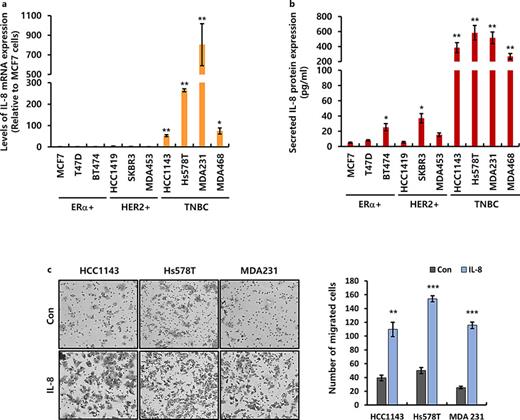 The levels of IL-8 expression in breast cancer cells and the effect of IL-8 on cell invasiveness in TNBC cells. a Determination of IL-8 transcript levels across ER-α+ (ER+/PR+/HER2−: MCF7, T47D or ER+/PR+/HER2+: BT474), HER2+ (ER−/PR−/HER2+: HCC1419, SKBR3, MDA453), and TNBC (ER−/PR−/HER2−: HCC1143, Hs578T, MDA231, MDA468) cells through quantitative reverse transcription PCR. b Quantification of secreted IL-8 proteins in conditioned media from breast cancer cells using ELISA. c Assessment of cell invasion in TNBC cells with or without treatment of 20 ng/mL IL-8. Results presented are from three separate experiments.
