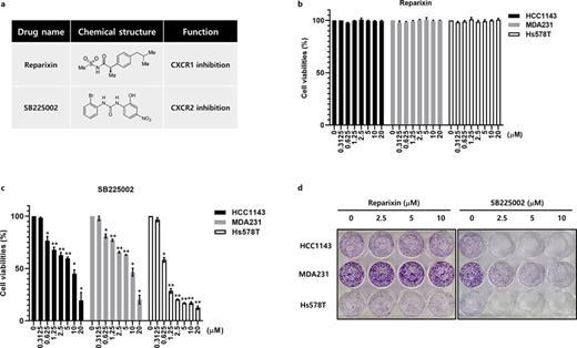 A specific CXCR2 inhibitor, SB225002, dose-dependently decreases the cell viabilities in TNBC cells. a Depiction of chemical structures for reparixin and SB225002. b Analysis of cell viabilities post reparixin treatment via MTT assay. c Evaluation of cell viabilities following SB225002 treatment through MTT assay. d Investigation of cell proliferation following treatment with reparixin or SB225002 through colony forming assay. Data represent three independent trials. Values are expressed as mean ± SEM. Significance indicated by *p < 0.05, **p < 0.01 compared to the untreated group.