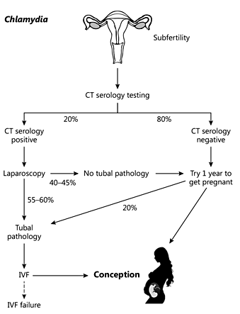 Fig. 1. The relation between serology testing (Chlamydia antibody testing) and laparoscopy and the percentages of misdiagnosis. CT = C.trachomatis; IVF = in vitro fertilization.