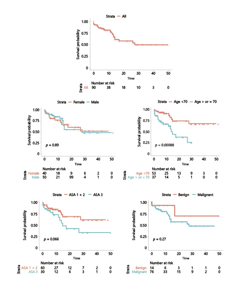 Fig. 3. Overall survival (n = 90).
