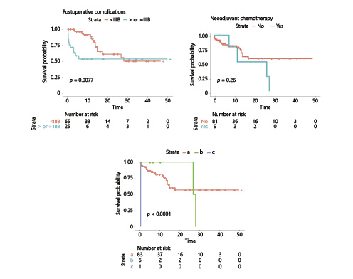 Fig. 4. Overall survival according to clinical variables: sex, age, ASA score, disease malignancy, neoadjuvant chemotherapy, postoperative complications, and type of surgery. a Total pancreatectomy or pancreaticoduodenectomy. b Distal pancreatectomy. c Pancreaticoduodenectomy with multivisceral resection (n = 90). IIIB, Clavien-Dindo class IIIb.