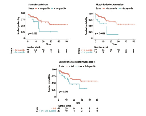 Fig. 5. Overall survival according to body composition variables dichotomized according to quartiles: skeletal muscle index, muscle radiation attenuation, and ratio of visceral fat area/skeletal muscle area (VFA:SMA) (n = 90).