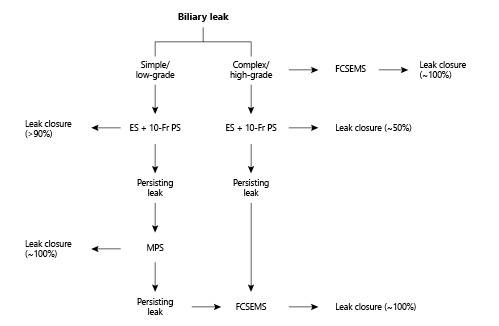 Fig. 3. Treatment of biliary leaks, a step-up approach. ES, endoscopic sphincterotomy; PS, plastic stent; MPS, multiple plastic stent; FCSEMS, fully covered self-expandable metallic stent.