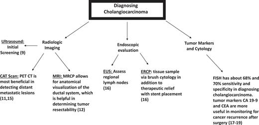 Cholangiocarcinoma can be diagnosed by a number of different mechanisms. Radiologic imaging allows for the visualization of mass. Endoscopic evaluation allows for visualization and sampling of the mass as well as therapeutic stent placement. Cytology allows for more specific tissue analysis.