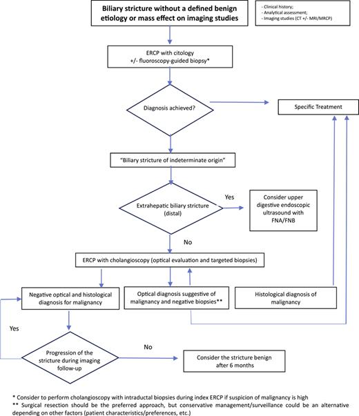 Summary of the role of digital cholangioscopy in the diagnosis of biliary strictures of undetermined etiology. Adapted from Angsuwatcharakon et al. [31]. ERCP, endoscopic retrograde cholangiopancreatography; FNA, fine-needle aspiration; FNB, fine-needle biopsy.