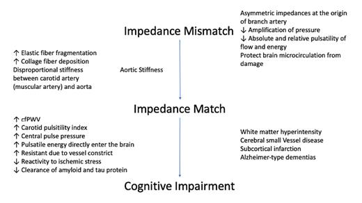 Fig. 1. The conceptual process from impedance mismatch to cognitive impairment and neurological disease, mediated by aging and aortic stiffness.