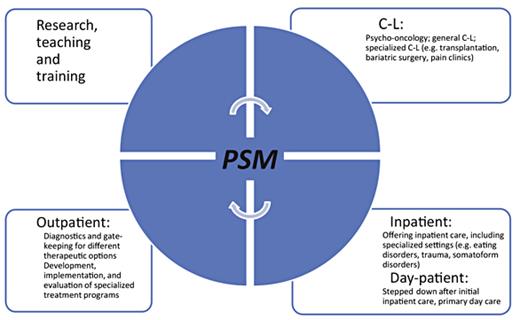 Fig. 1. Structure of an academic psychosomatic department (PSM) in Germany. C-L = Consultation-liaison; PSM = psychosomatics.