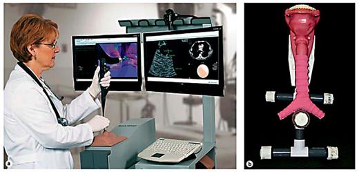 Comparative Effectiveness of Low- and High-Fidelity Bronchoscopy ...