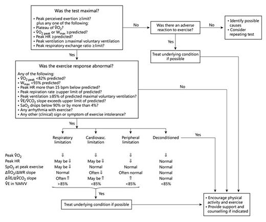 Fig. 1. A rational approach for the interpretation of a cardiopulmonary exercise test.