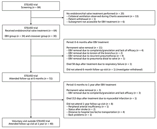 Fig. 1. Study flowchart. EBV, endobronchial valve.