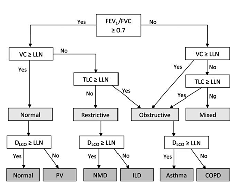 Automated Interpretation of Pulmonary Function Tests in Adults with ...