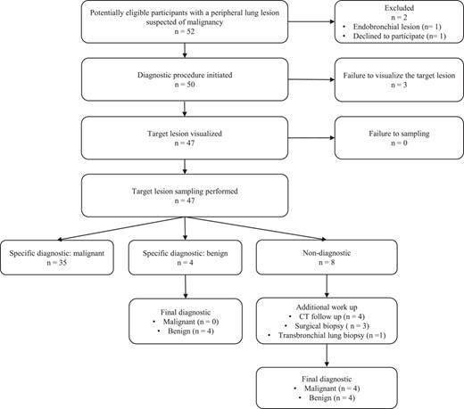 Patient selection and diagnostic outcome flowchart. CT, computer tomography.