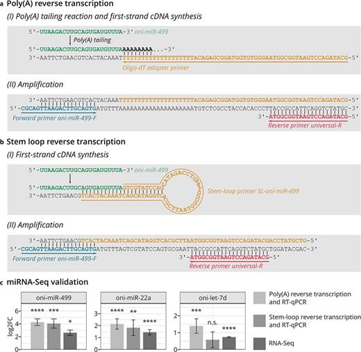 Reverse transcription and real-time quantitative PCR methods used for validation of RNA-Seq results and expression data of selected miRNAs. a, b Schemes of reverse transcription and real-time quantitative PCR methods using the example of oni-miR-499. Poly(A) (a) and stem-loop reverse transcription (b) and subsequent amplification. c Log2-transformed normalized expression data of oni-miR-499, oni-miR-22a, and oni-let-7d in dominant males from poly(A) and stem-loop reverse transcription and subsequent RT-qPCR as well as RNA sequencing (positive log2FC [log2 fold change] values indicate upregulation in dominants). Significant differences in comparison to subordinate males were determined by two-sample t test and p values are indicated as follows: *p < 0.1, **p < 0.05, ***p < 0.01, ****p < 0.001; n.s.: not significant. RT-qPCR: biological replicates: subordinate males n = 6, dominant males n = 4, technical replicates: n = 3. RNA-Seq: biological replicates: subordinate males n = 5, dominant males n = 3. Error bars: SEM.