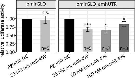 Luciferase activity data represented by the mean relative ratios from transfection experiments in HeLa cells co-transfected with the control (pmirGLO) or the recombinant vector containing the 3′-UTR of amh (pmirGLO_amhUTR) and different concentrations of oni-miR-499. For normalization, the agomir-negative control (NC) data were set to the value 1. Significance was determined by a one-sample t test (alternative hypothesis: mean <1) and indicated as follows: *p < 0.05, ***p < 0.001. n.s., not significant. The number of biological replicates is indicated within the respective bars, each including the agomir NC. All experiments were done in technical triplicates. Error bars: SEM.