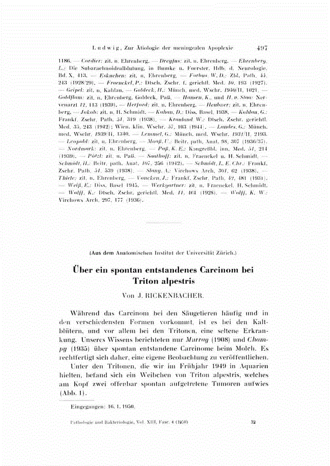 First page of Über ein spontan entstandenes Carcinom bei Triton alpestris