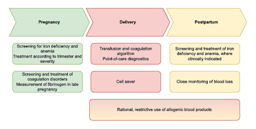  PBM in pregnancy.