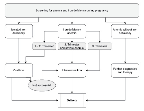  Flowchart therapy of anemia and iron deficiency in pregnancy.