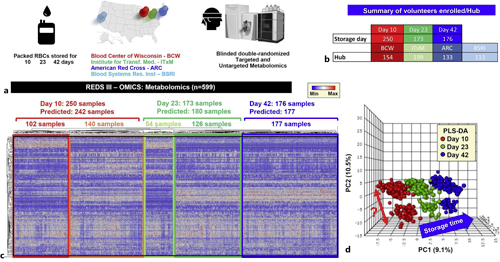 Metabolomics analyses of REDS-III samples [32]. a An overview of the study design. b A breakdown of the number of patients enrolled in this arm of the study at four different blood centers (BCW; ITxM, Pittsburgh; ARC at Yale; University of California at San Francisco and BSRI). c The heat map shows the results from unsupervised hierarchical clustering of 599 samples based on metabolic phenotypes. A total of 242, 180, and 177 samples were predicted to belong to storage day 10, 23, and 42 categories, with only 8 samples misclassified as storage day 23 belonging to the day 10 and day 42 groups. d Partial least square discriminant analysis in dataset done after unblinding showing sample clustering based on storage time across principal component 1 (explaining 9.1% of the total variance). Of note, a clear subcluster was observed across PC2 (10.5% of the total variance. Color code: red – day 10 samples; green – day 23 samples; blue – day 42 samples. This figure is reproduced from D’Alessandro et al. [32]. BCW, Blood Center of Wisconsin; ITxM, Institute for Transfusion Medicine; ARC, American Red Cross; BSRI, Blood Systems Research Institute.