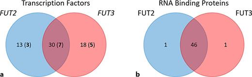 TFs binding the genes (a) and RBPs binding the mRNAs (b) of FUT2 and FUT3 individually and their overlap. a TFs were predicted with PROMO (https://alggen.lsi.upc.es) [23]. Bold numbers in brackets correspond to TFs with E <1 and dissimilarity <0.3. b Only RBP predictions from both RBPmap (http://rbpmap.technion.ac.il/) [25] and RBPsuite database (http://www.csbio.sjtu.edu.cn/bioinf/RBPsuite/) [26] are considered. Venn diagrams were created using https://bioinformatics.psb.ugent.be/webtools/Venn/.