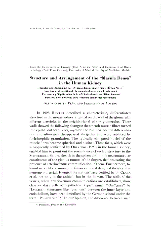 First page of Structure and Arrangement of the “Macula Densa” in the Human Kidney