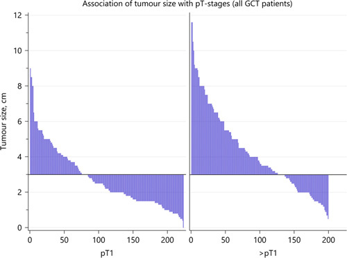Fig. 1. Association of tumour-size with pathological (pT)-stage. Waterfall plot showing the association of tumour-size with pT-stage. X-axis denotes patient numbers; y-axis denotes tumour-size in cm. The horizontal line represents the median tumour size of all cases. Each case is represented by one vertical bar. Cases are ranked according to tumour size. The plot illustrates that among the patients with >pT1, markedly more cases are located above the median line than in the pT1 group. Also, in the >pT1 group, more cases have very large tumours (>8 cm size).