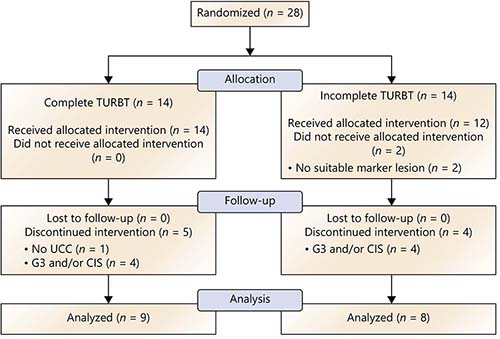 Fig. 1. Flow diagram of randomized patients.