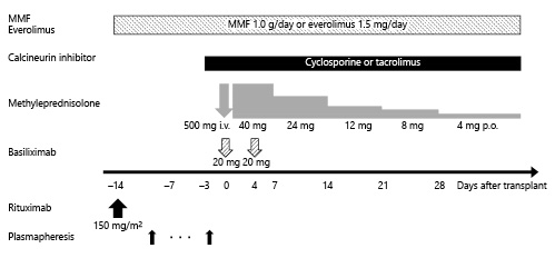 Fig. 1. Immunosuppressive protocol for standard ABO-incompatible kidney transplantation. MMF, mycophenolate mofetil.
